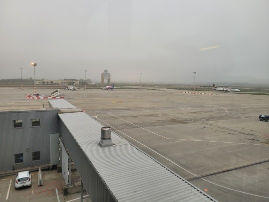 Fast track és a többiek