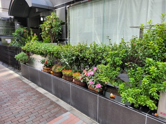 Virágzik a Haloween