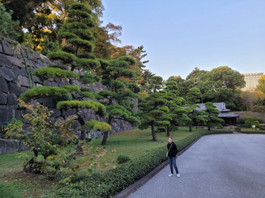 Kijárási kötelezettség