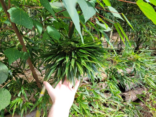 Mindig a sárga úton..