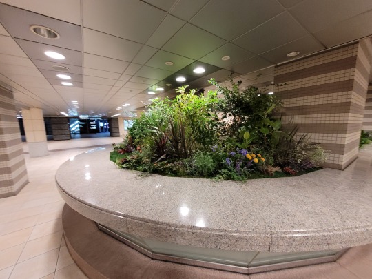 Kincs(ek)re bukkantunk!