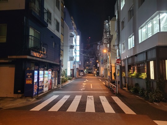 Japánba(n) csomagolt kínai(ak)