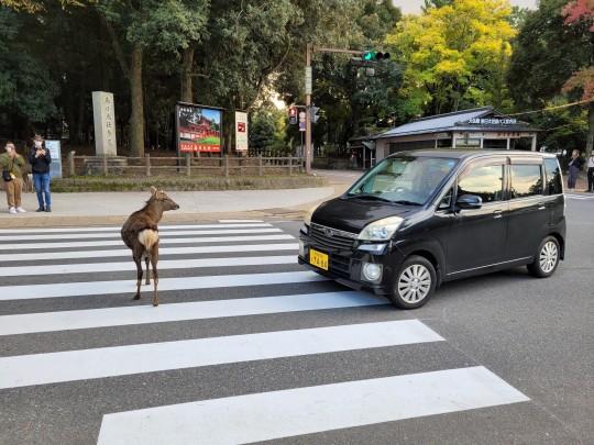 Haggyadmá’ magaDAT